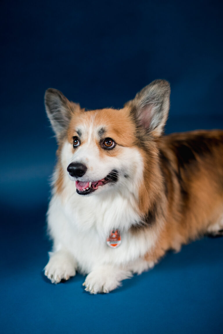 Max